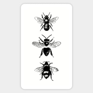 Bees Magnet